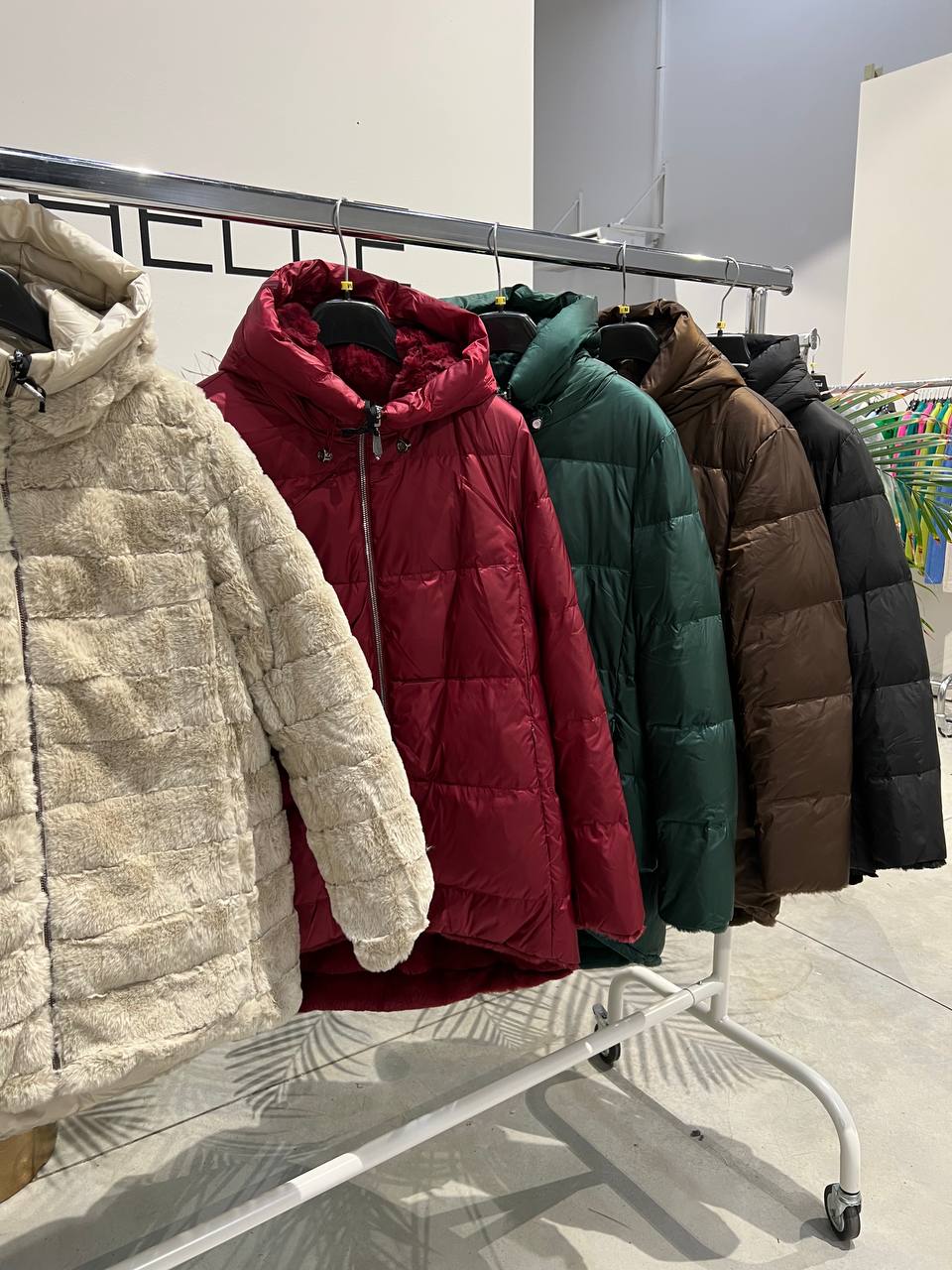 Фото Amelie Follies (Michelle)