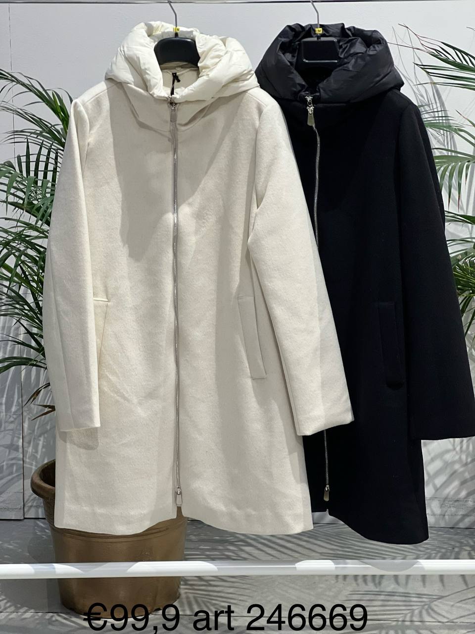 Фото Amelie Follies (Michelle)