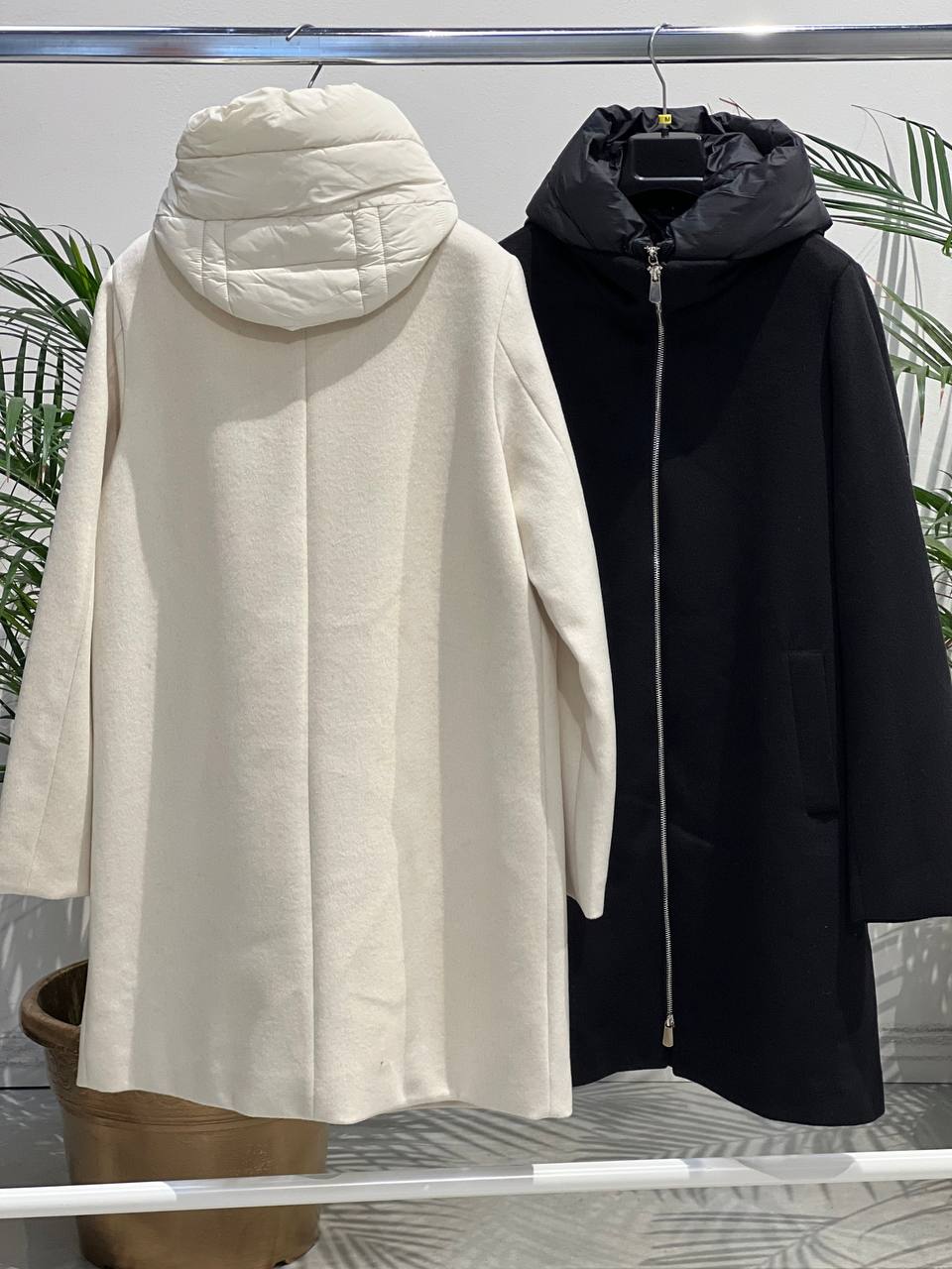 Фото Amelie Follies (Michelle)