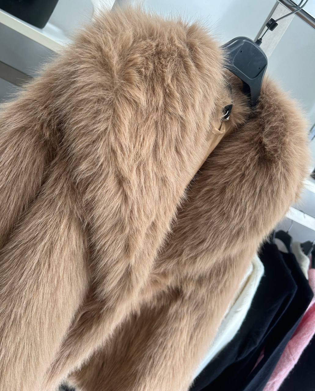 Фото Amelie Follies (Michelle)