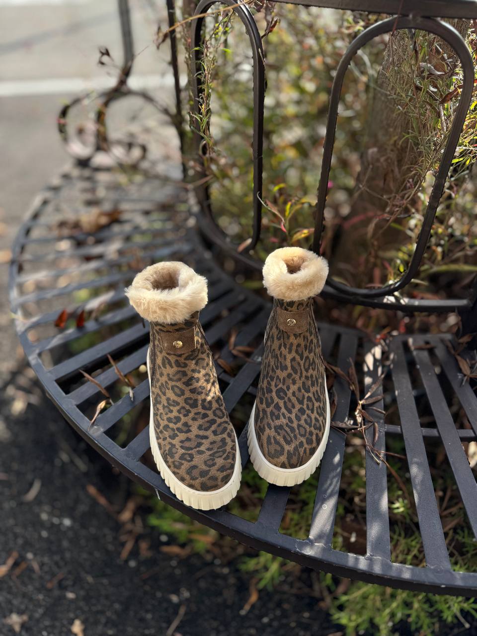 Фото Federica Lancioni