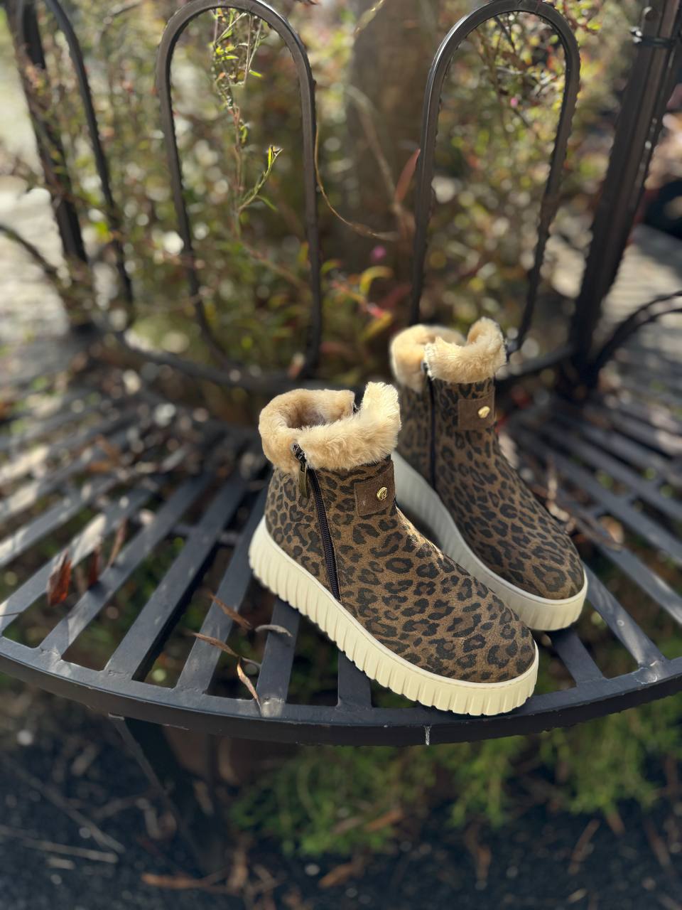 Фото Federica Lancioni