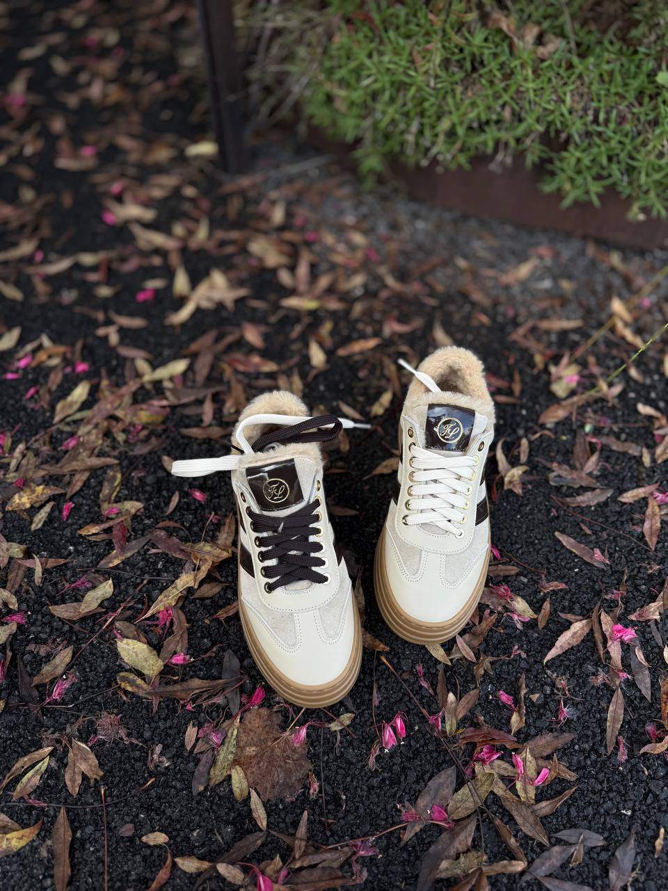 Фото Federica Lancioni