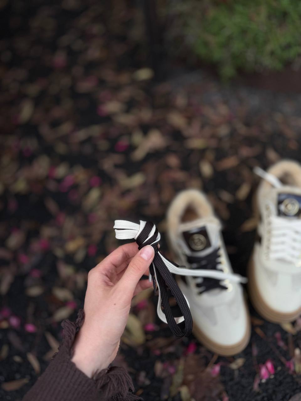 Фото Federica Lancioni