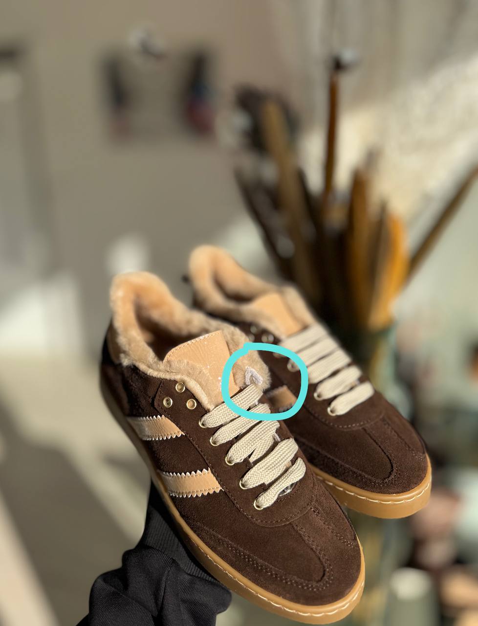 Фото Federica Lancioni