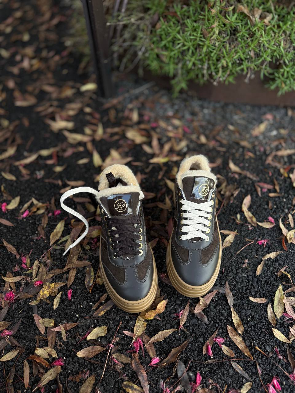 Фото Federica Lancioni