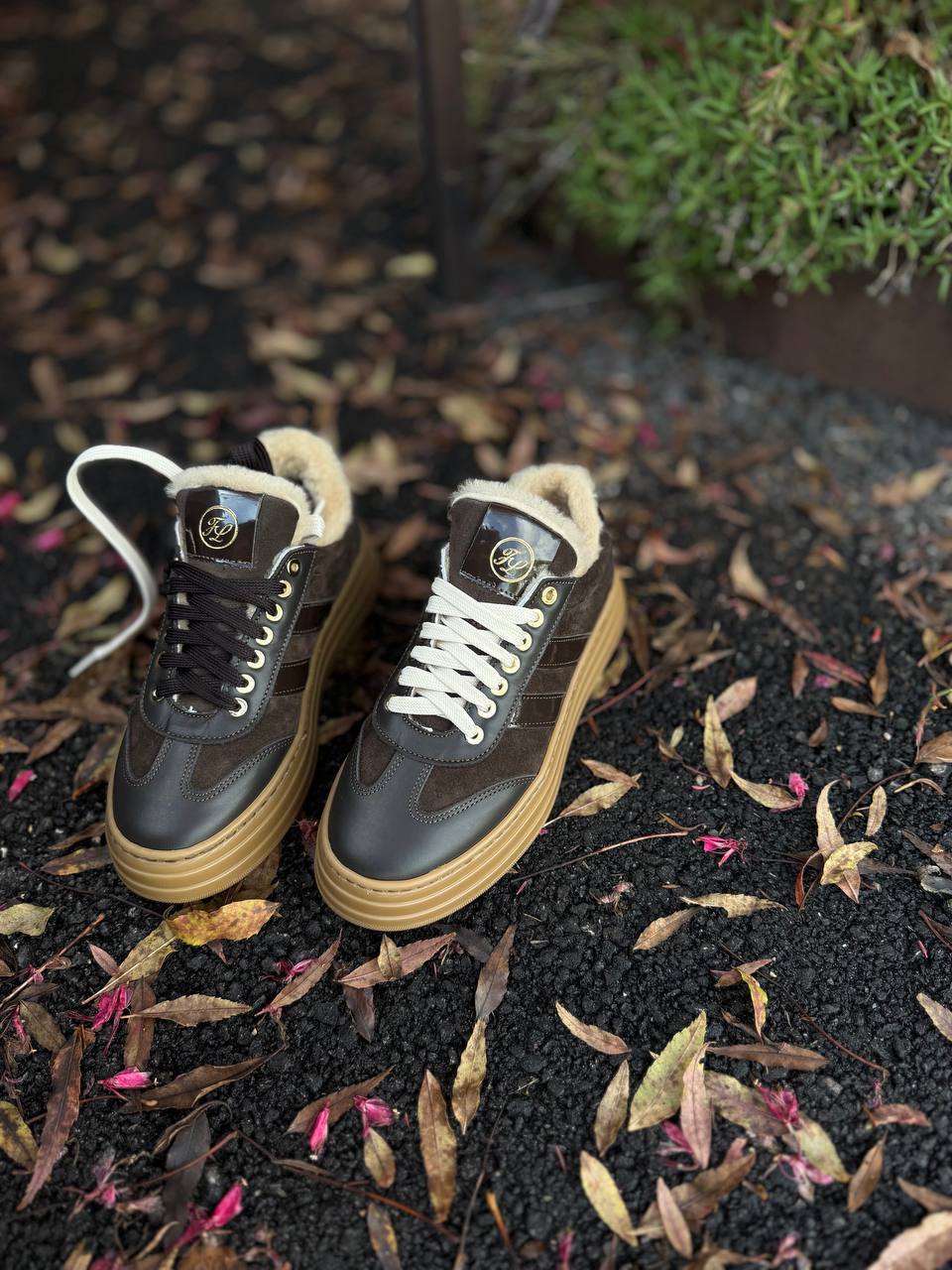 Фото Federica Lancioni