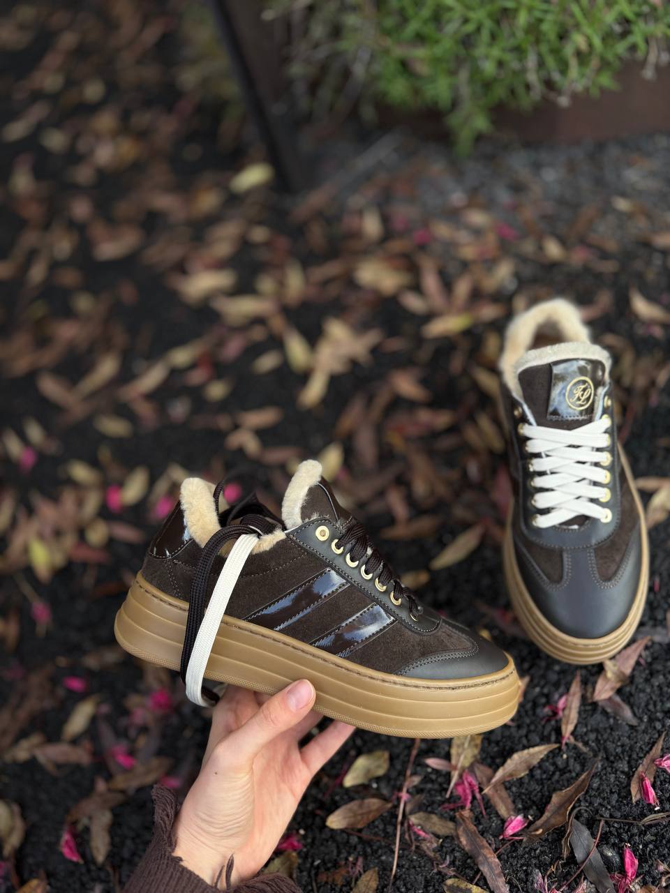 Фото Federica Lancioni