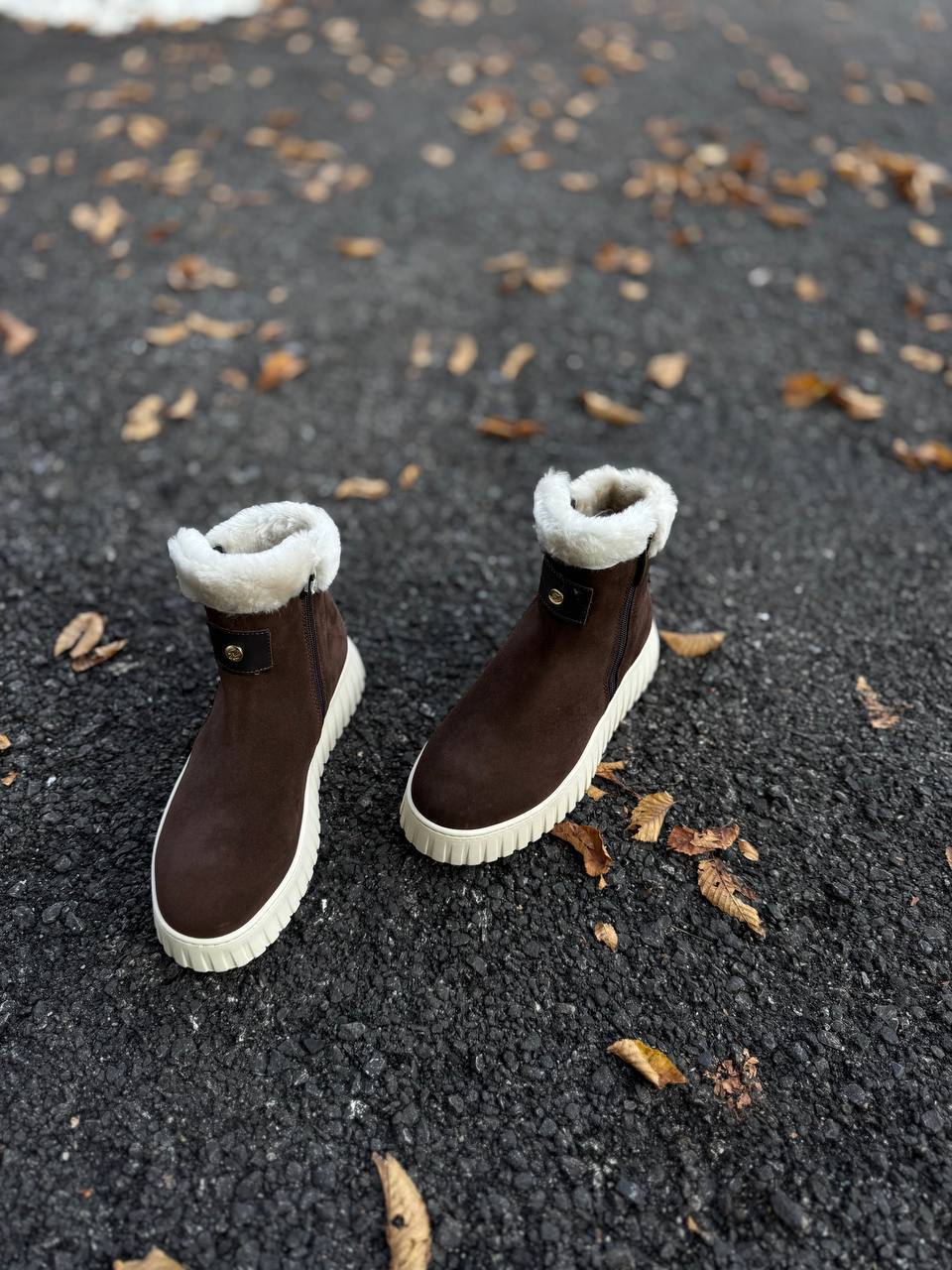 Фото Federica Lancioni