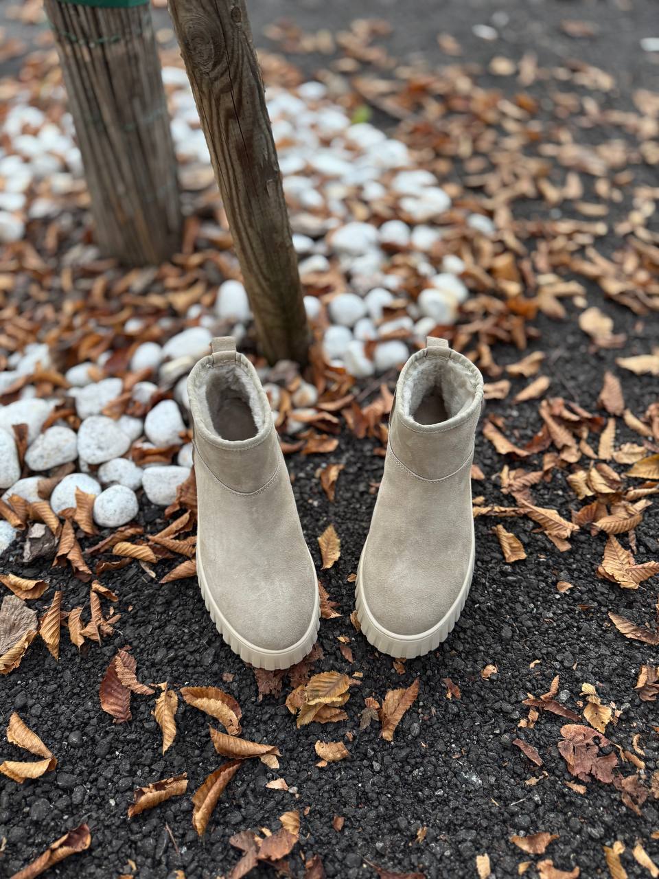 Фото Federica Lancioni