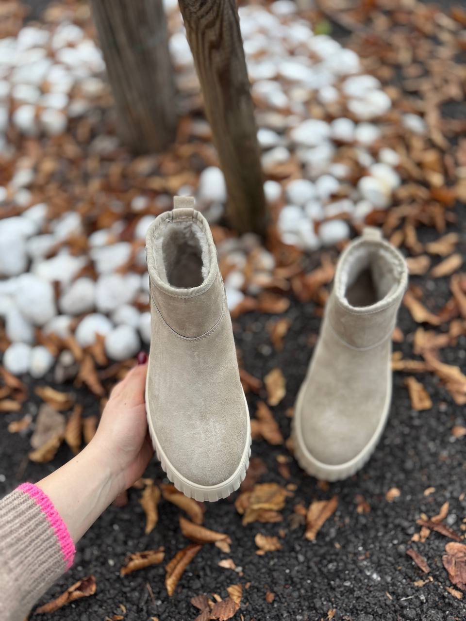 Фото Federica Lancioni