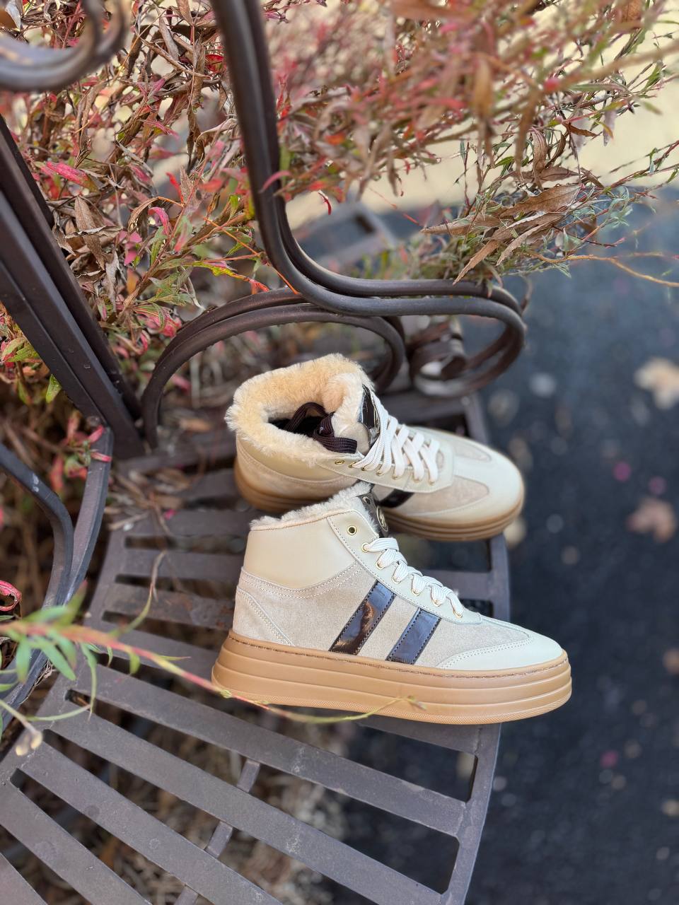 Фото Federica Lancioni