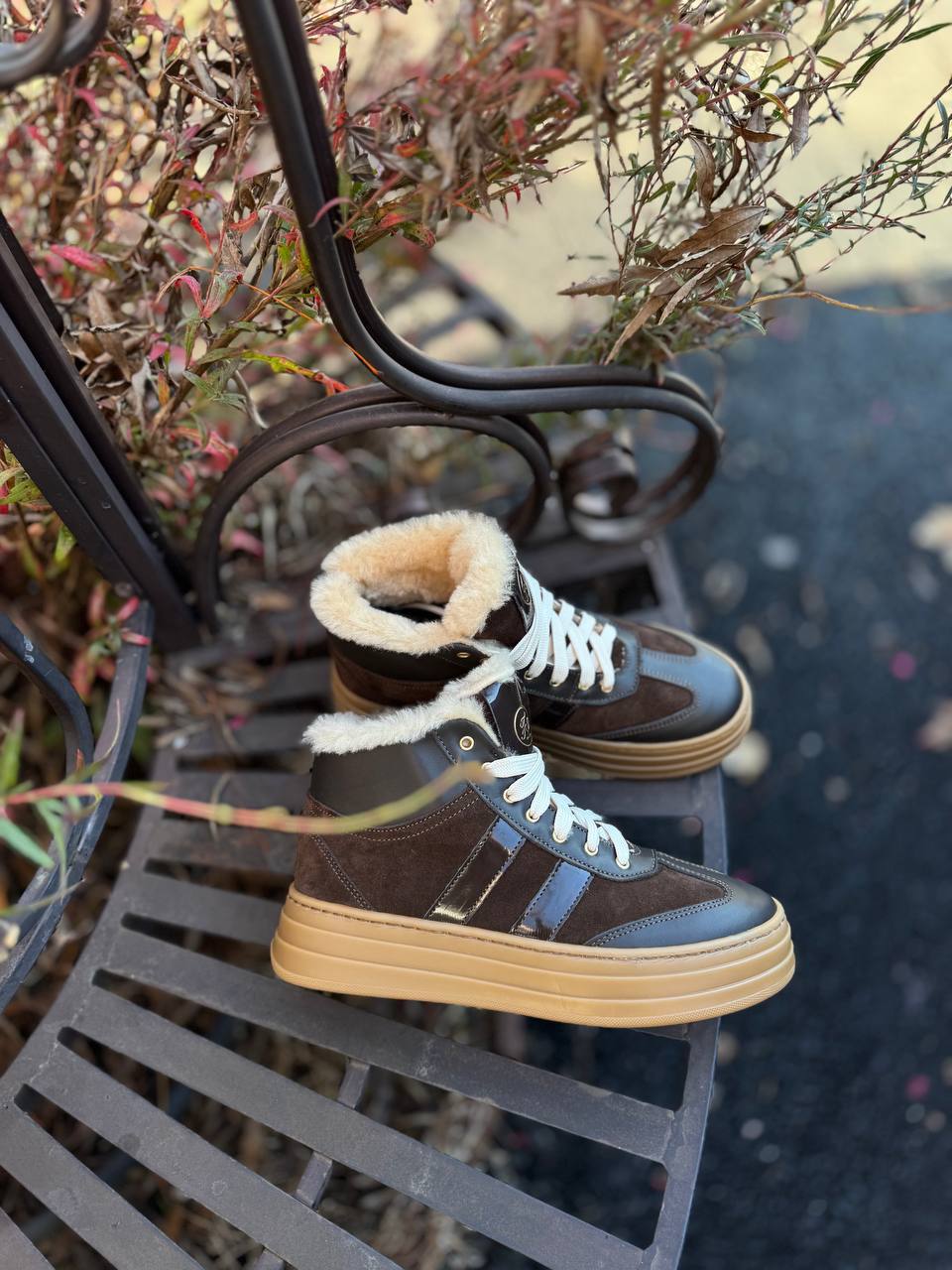 Фото Federica Lancioni