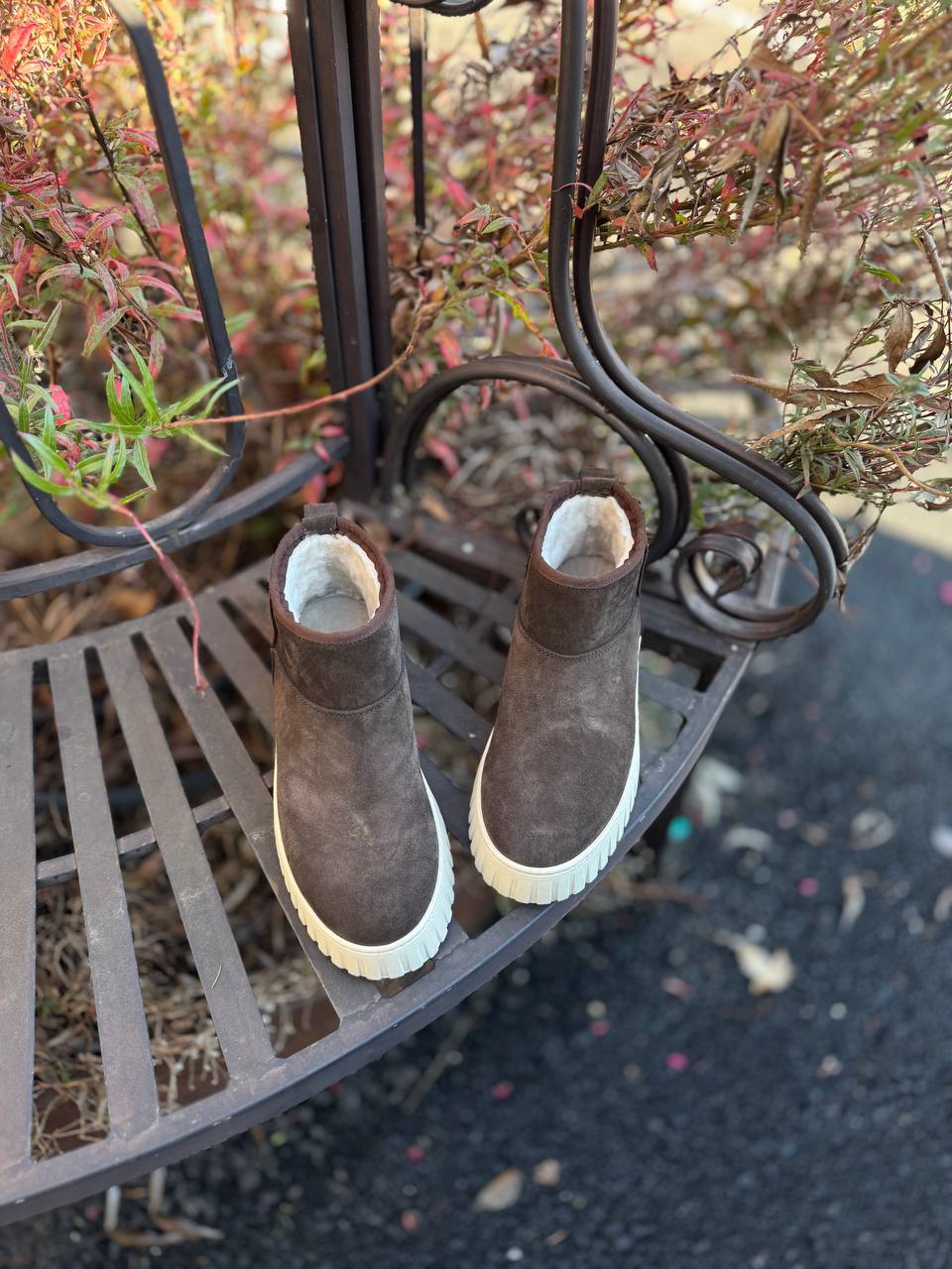 Фото Federica Lancioni