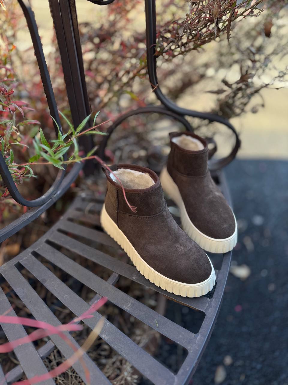 Фото Federica Lancioni