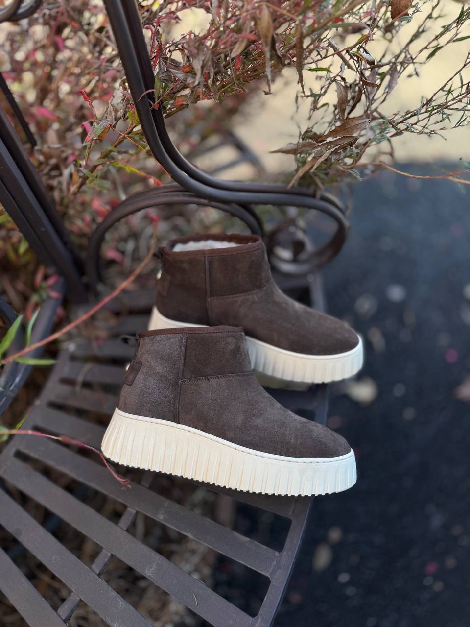 Фото Federica Lancioni