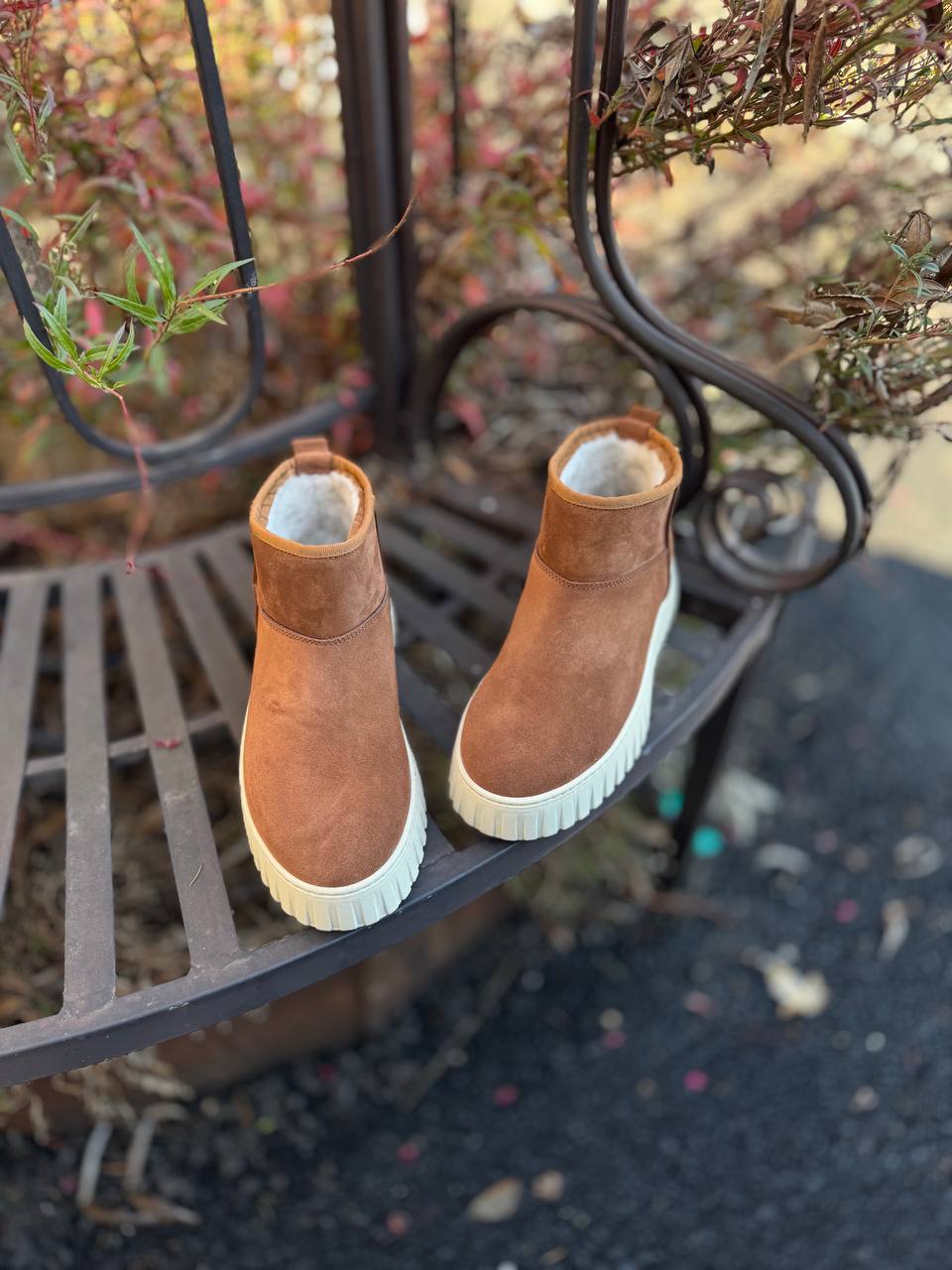 Фото Federica Lancioni