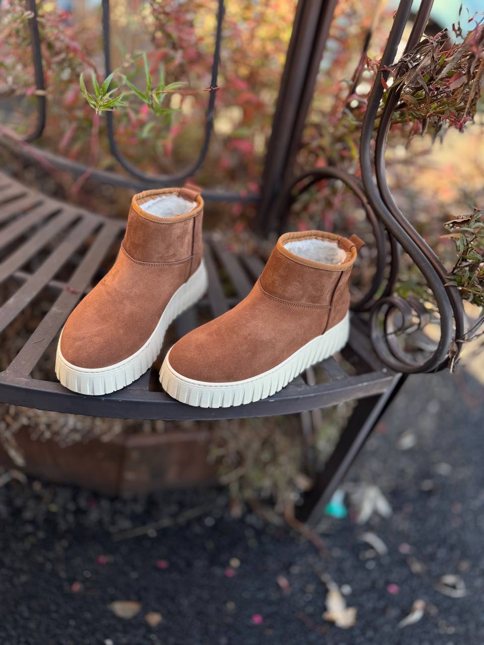 Фото Federica Lancioni