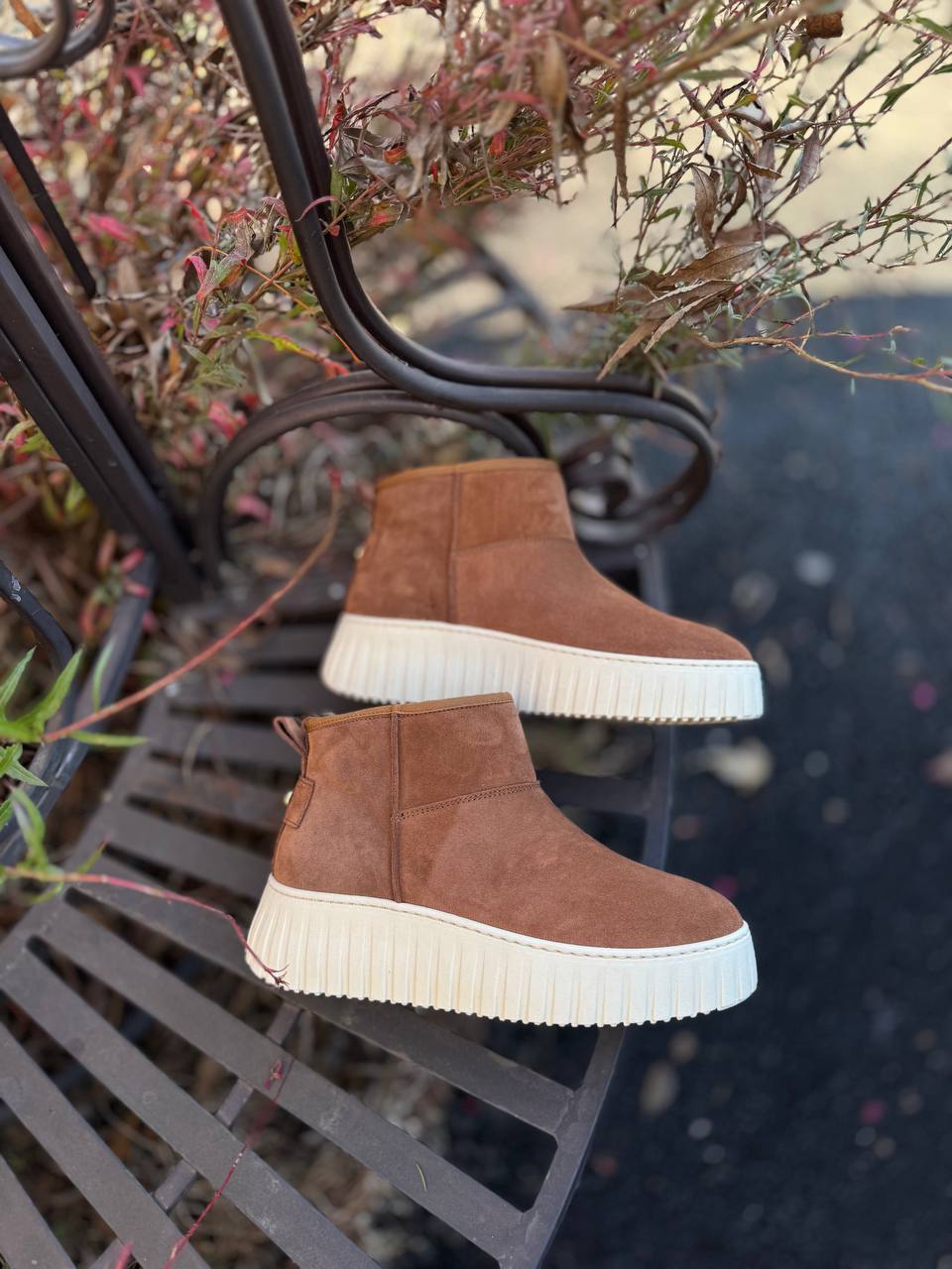 Фото Federica Lancioni