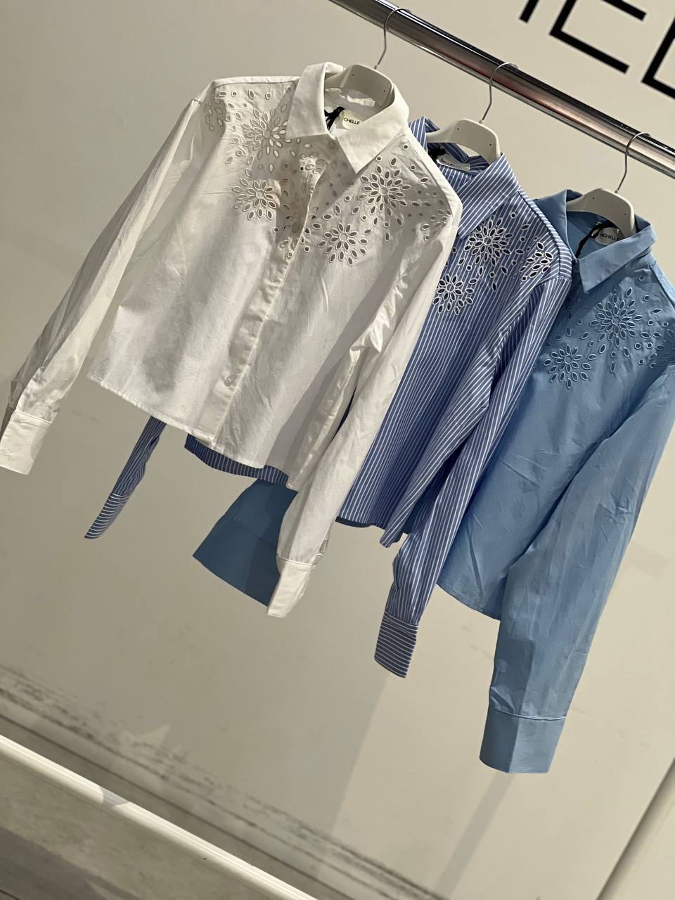 Фото Amelie Follies (Michelle)