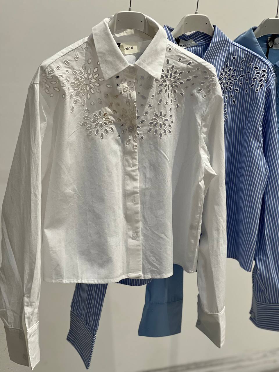 Фото Amelie Follies (Michelle)