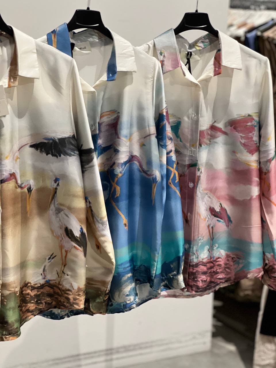 Фото Amelie Follies (Michelle)