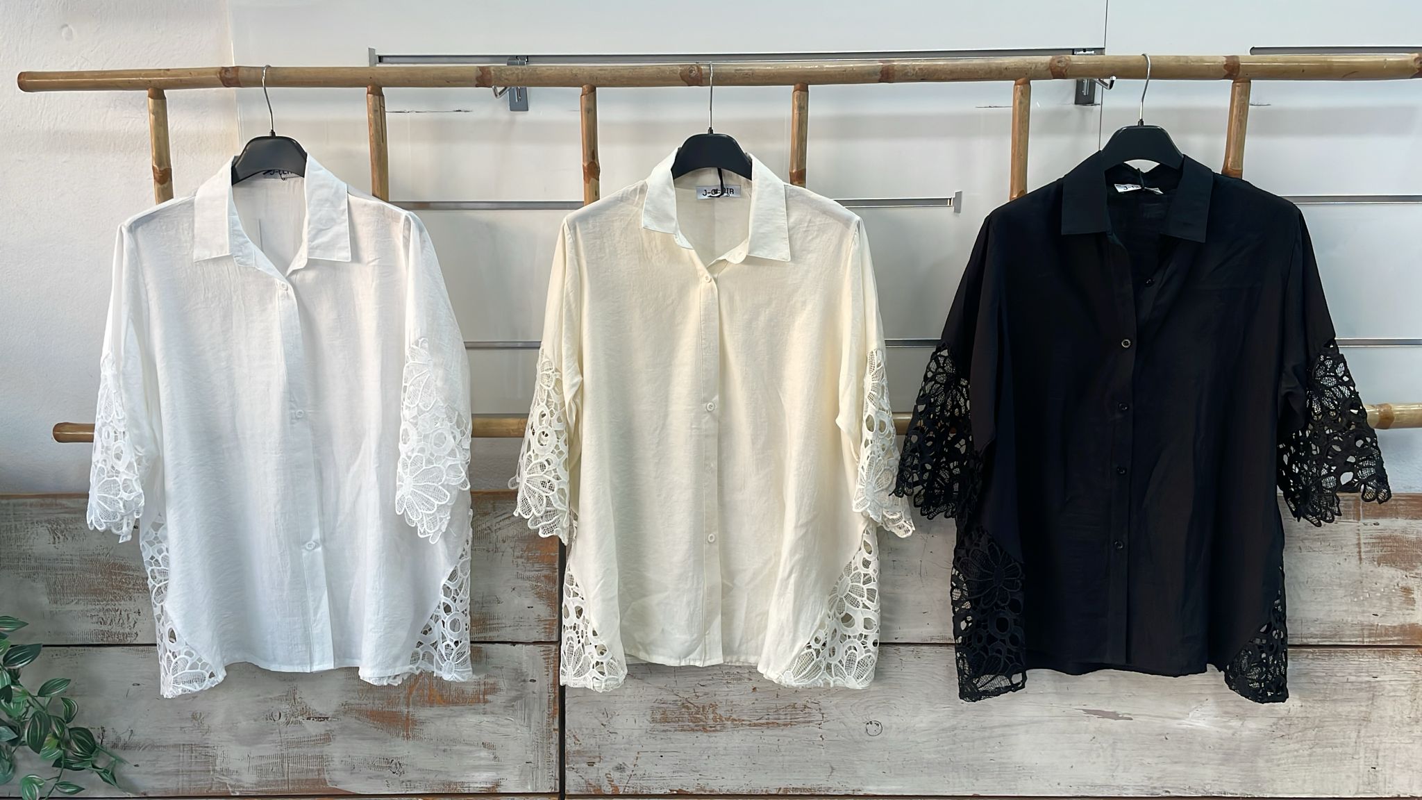 Фото Joie Clair (J-Clair)