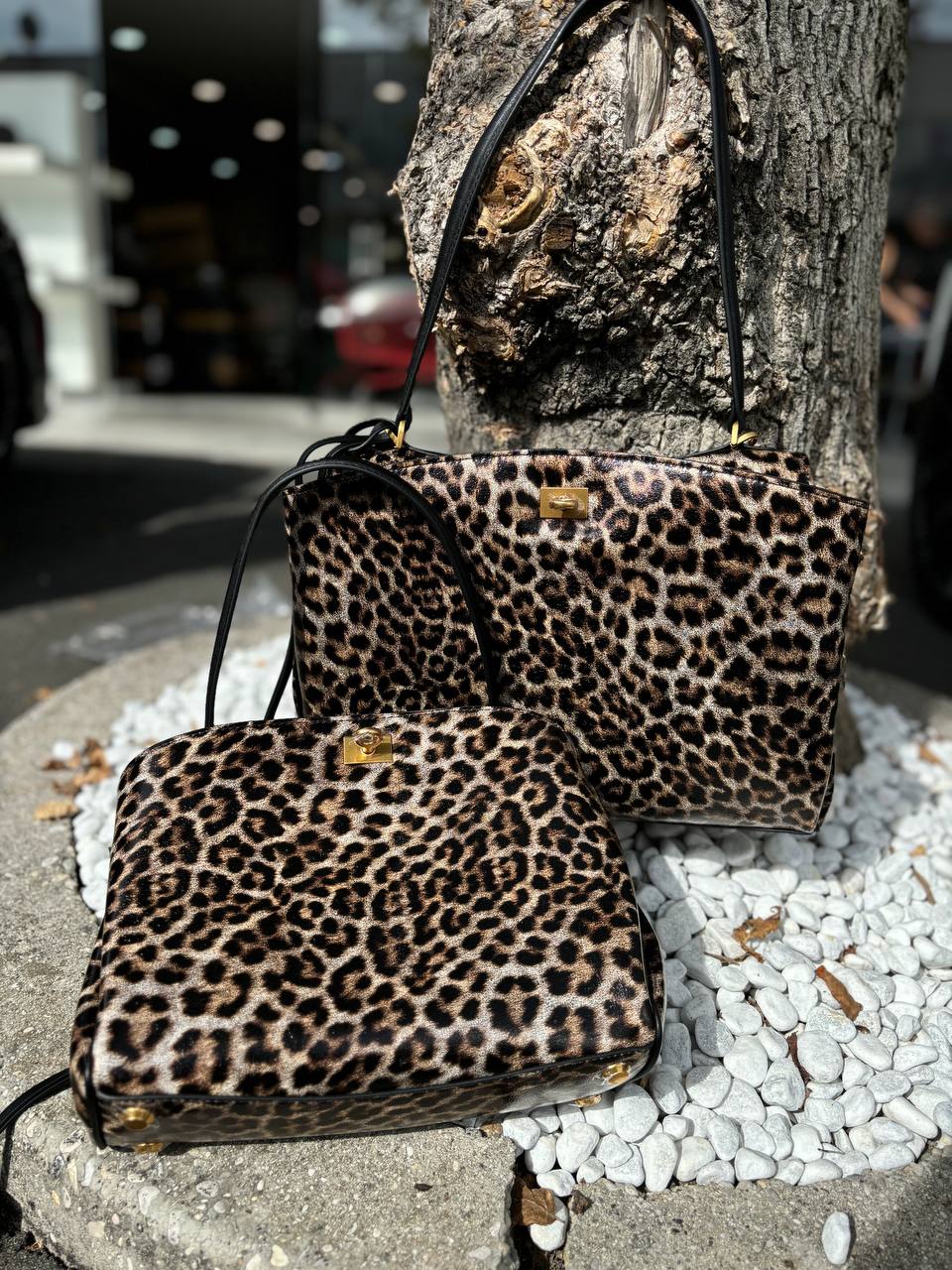 Leather Country