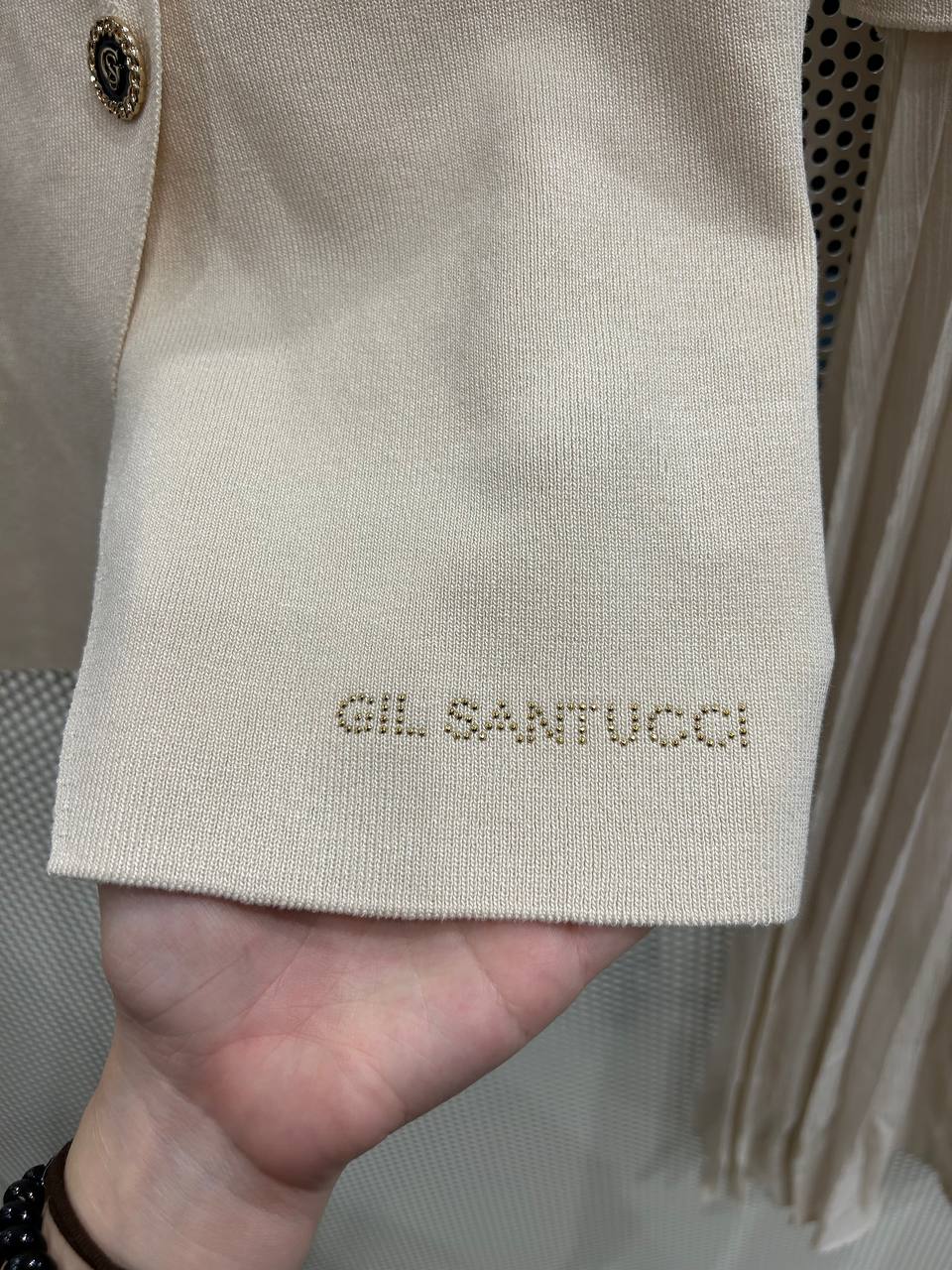 Gil Santucci