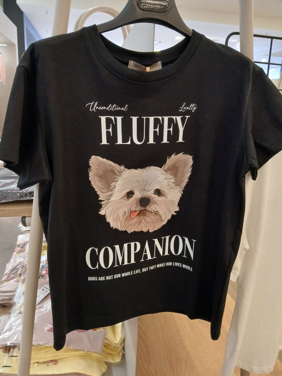 Rinascimento