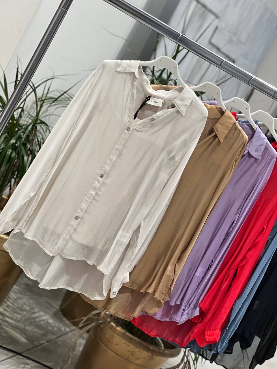 Фото Amelie Follies (Michelle)