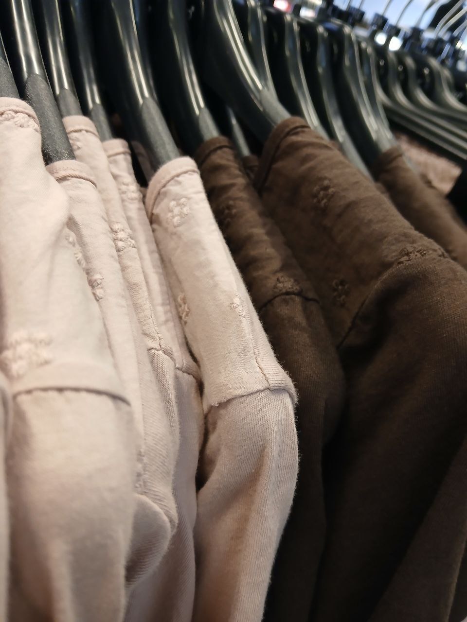 Rinascimento Фото Rinascimento