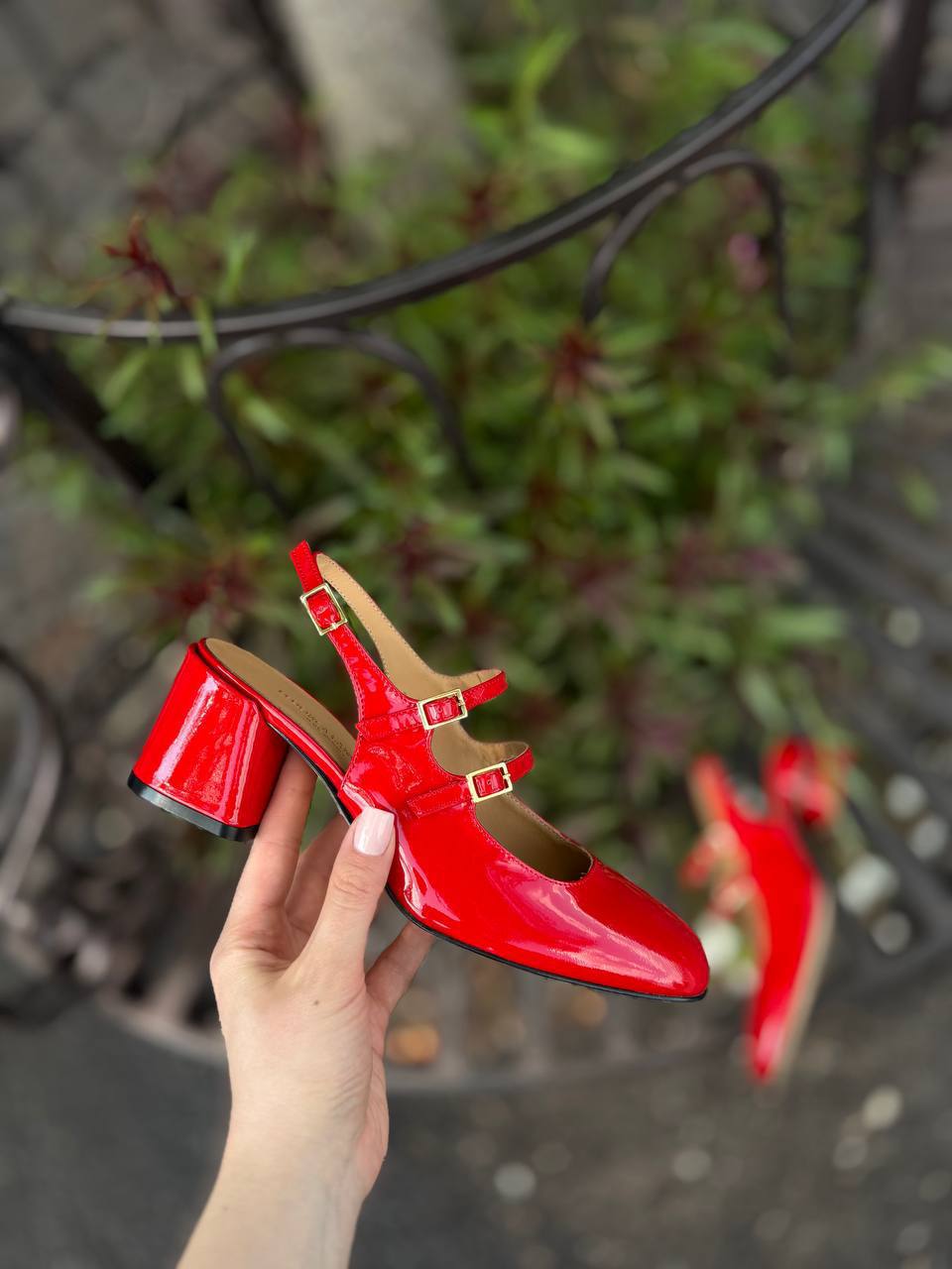 Фото Federica Lancioni