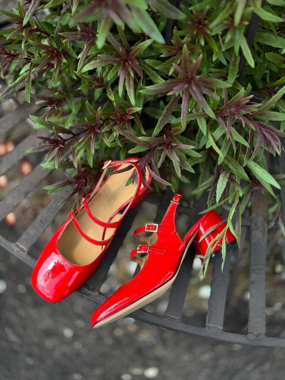 Фото Federica Lancioni