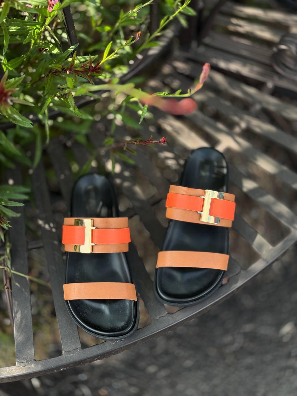 Фото Federica Lancioni