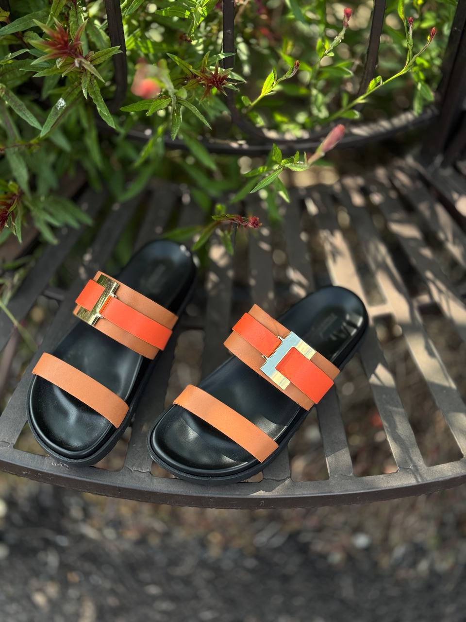 Фото Federica Lancioni