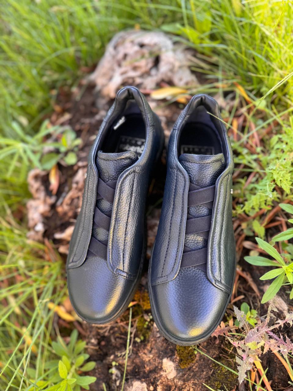 Фото Roberto Serpentini