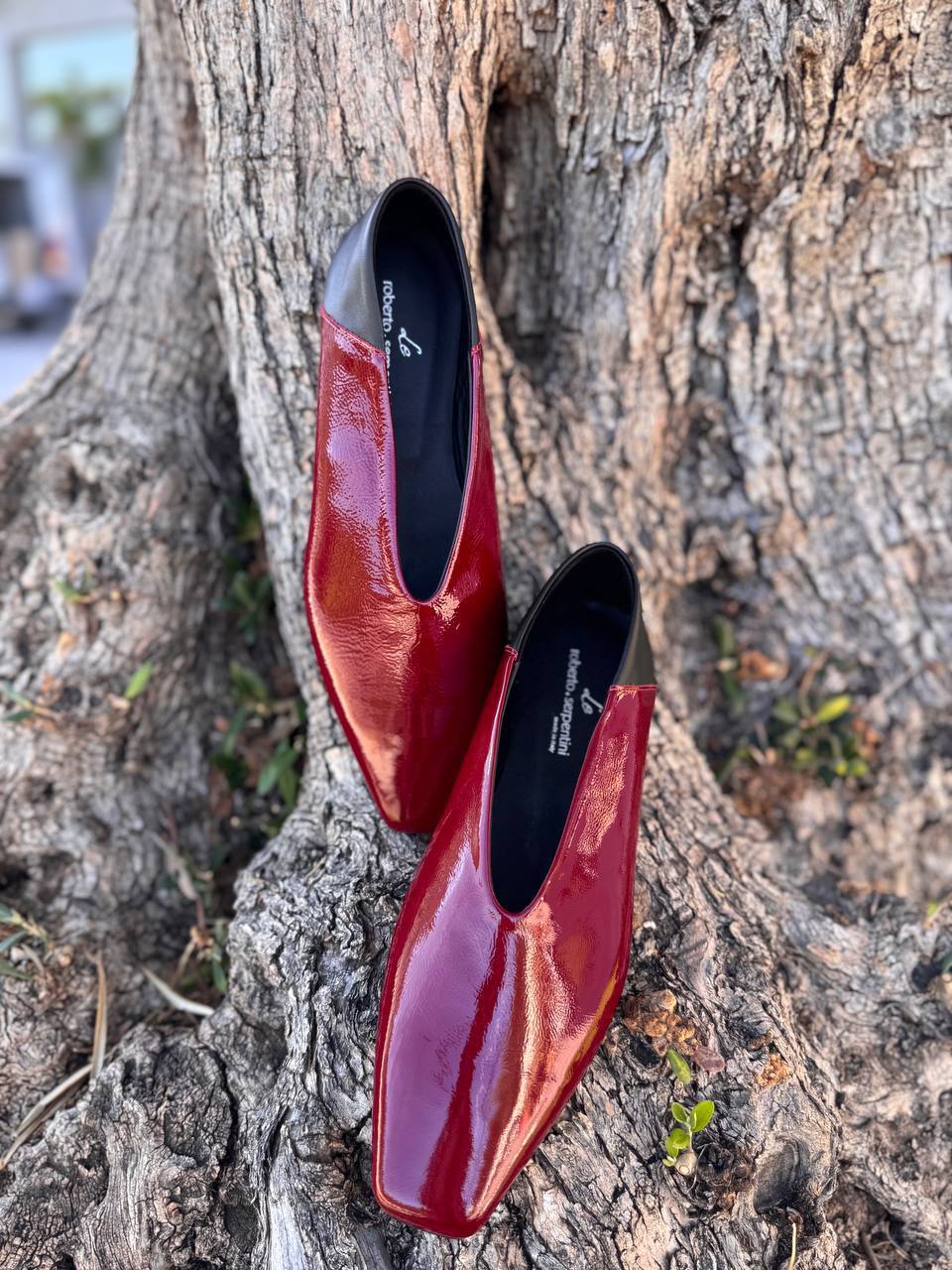 Фото Roberto Serpentini