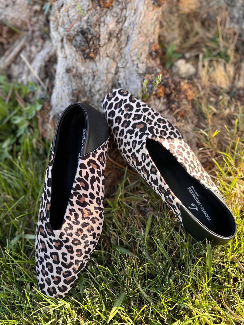 Фото Roberto Serpentini