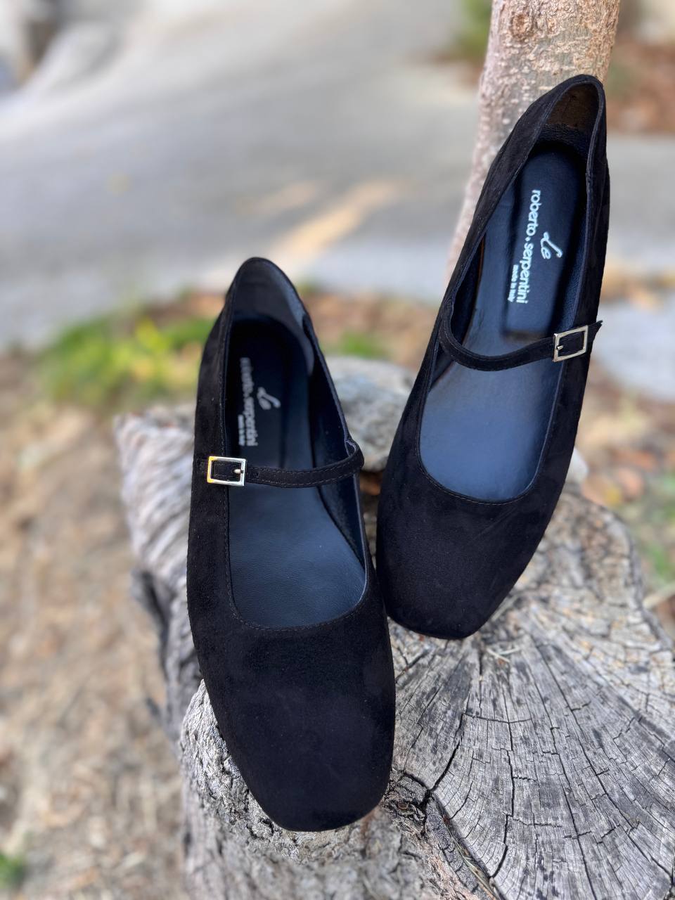 Фото Roberto Serpentini