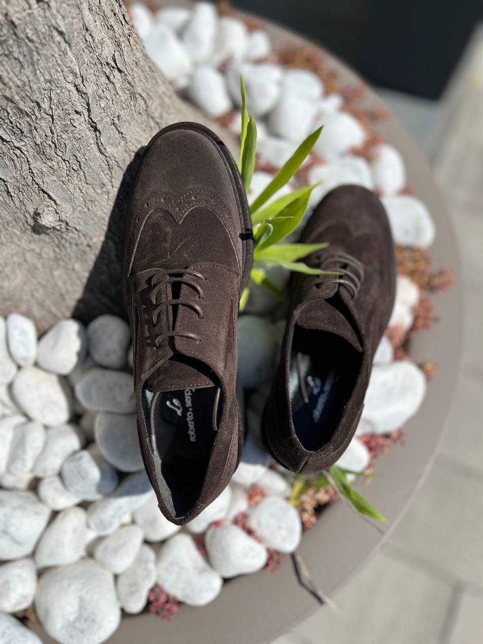 Фото Roberto Serpentini