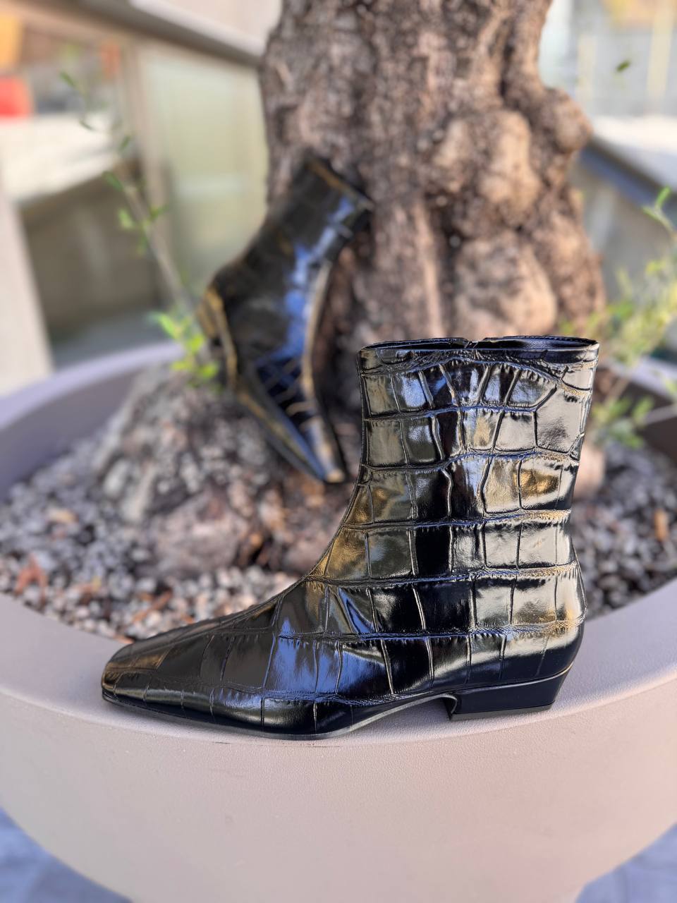 Фото Roberto Serpentini