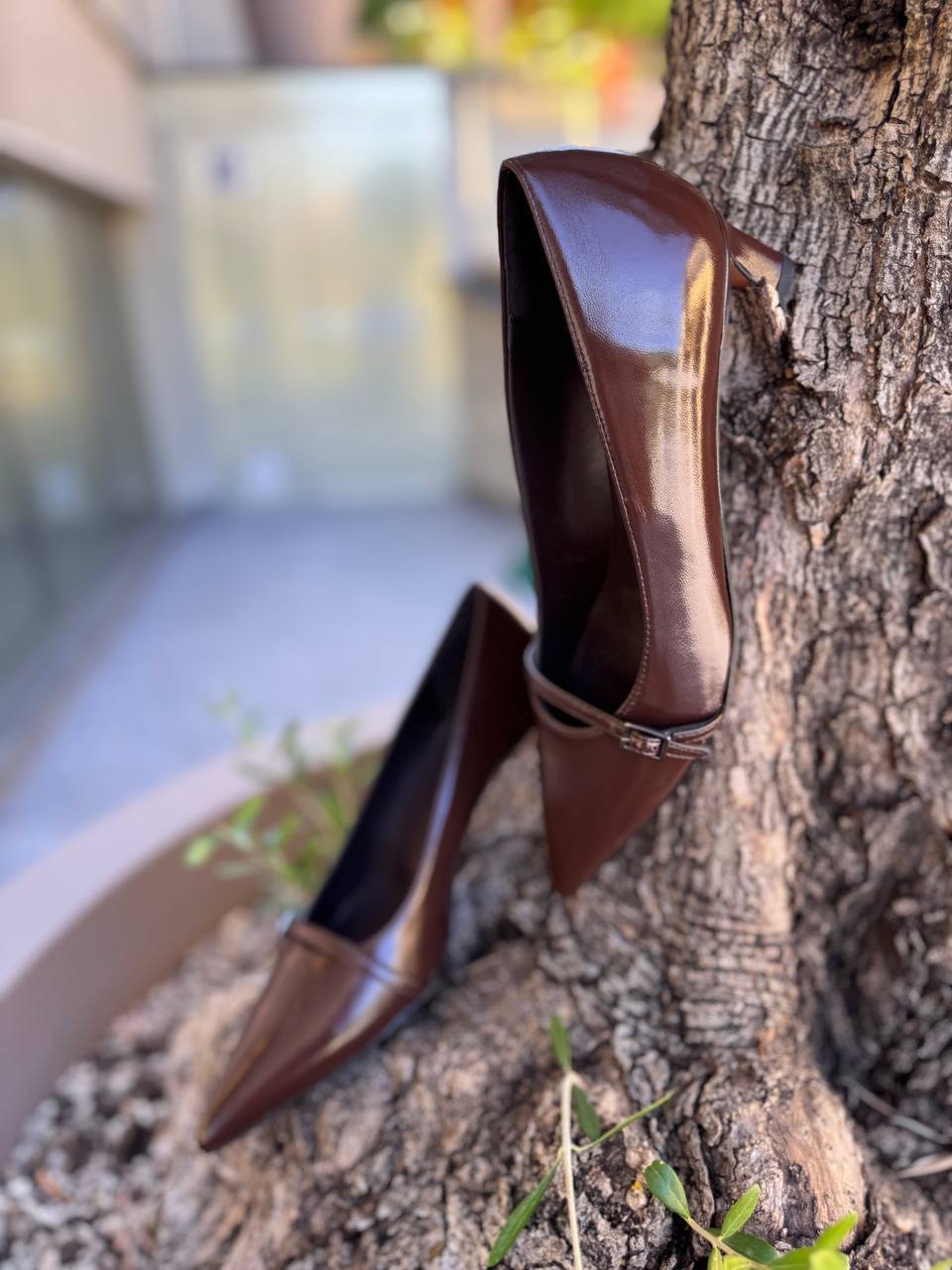 Фото Roberto Serpentini