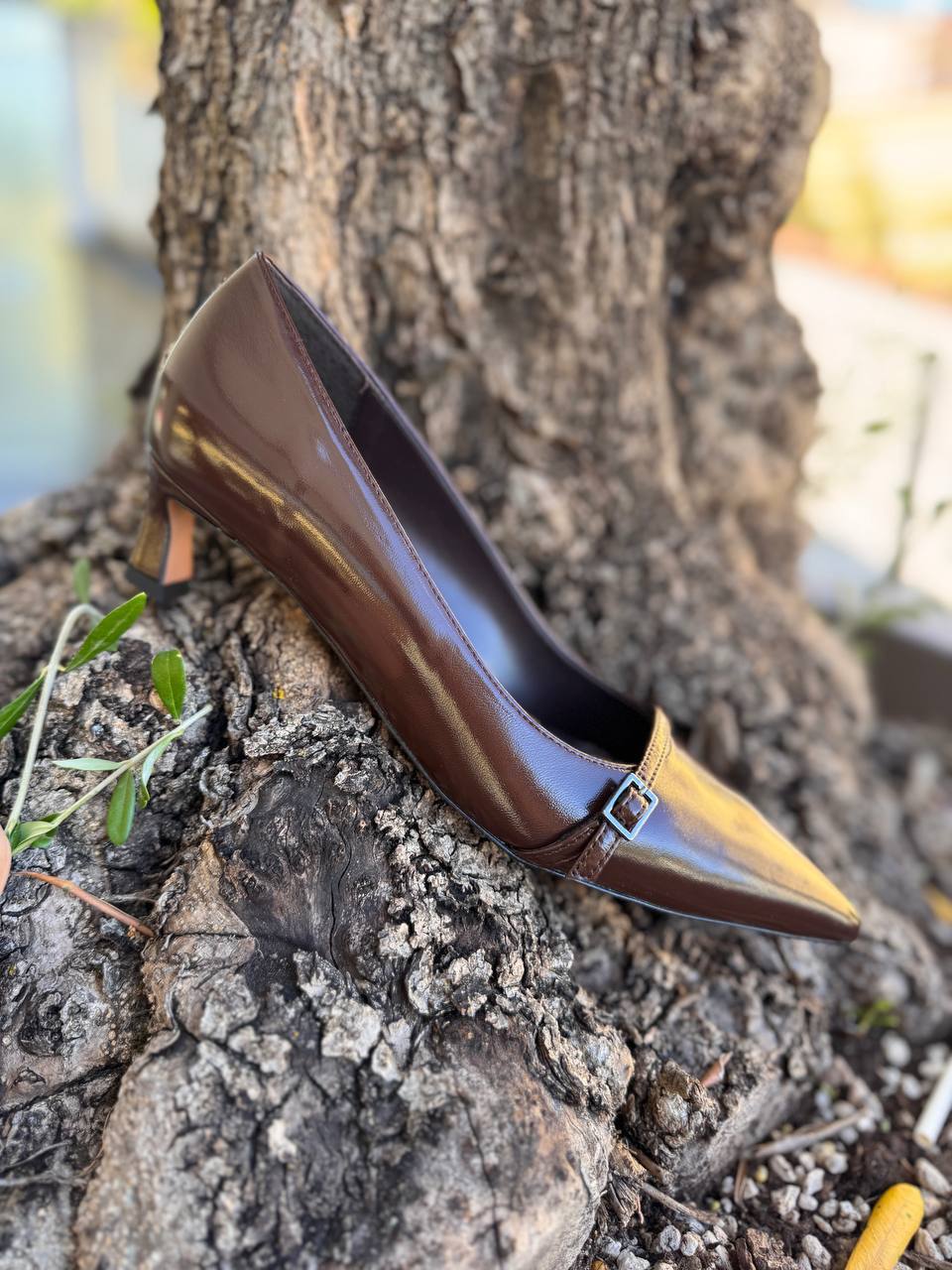 Фото Roberto Serpentini