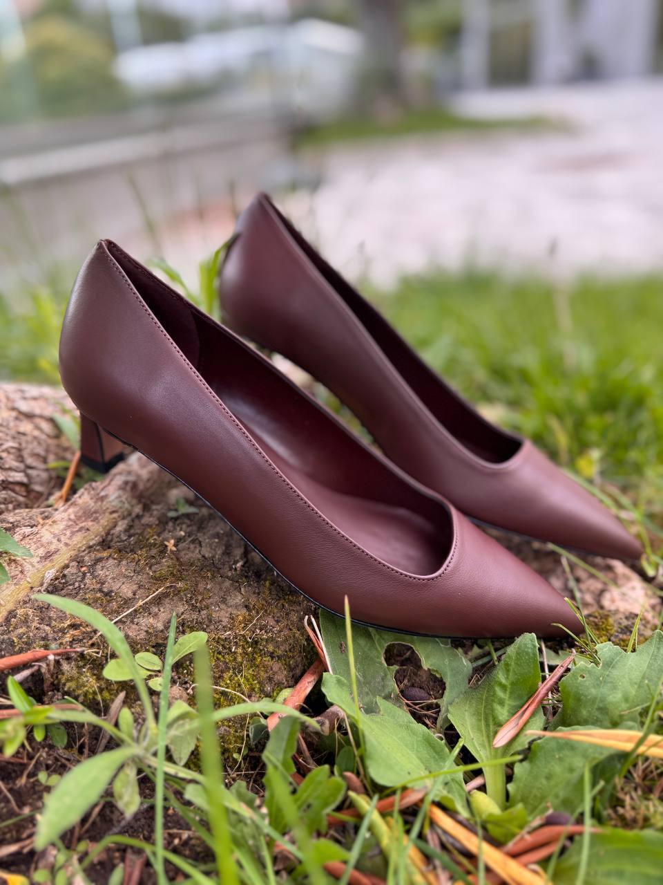 Фото Roberto Serpentini