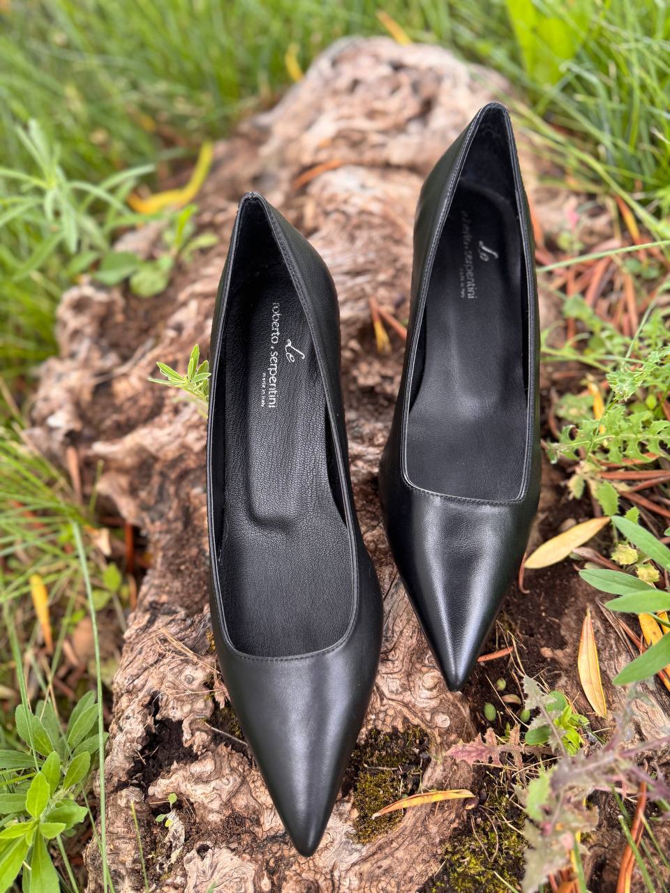 Фото Roberto Serpentini