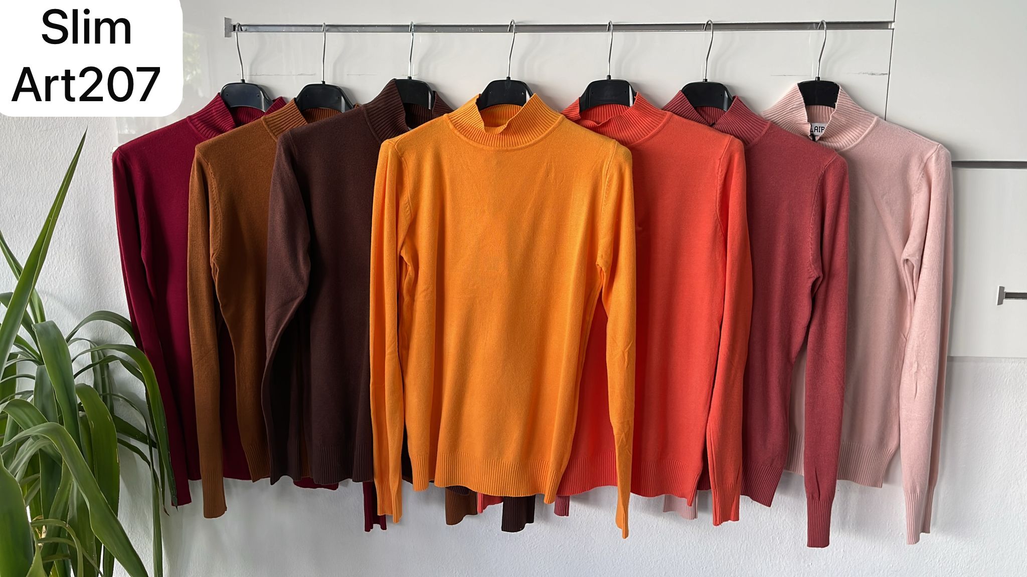 Joie Clair (J-Clair) Фото Joie Clair (J-Clair)