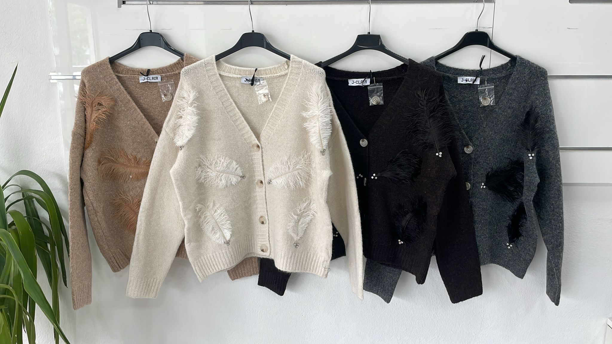 Joie Clair (J-Clair) Фото Joie Clair (J-Clair)