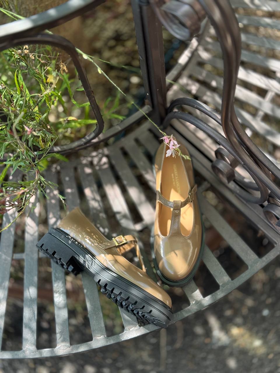 Фото Federica Lancioni