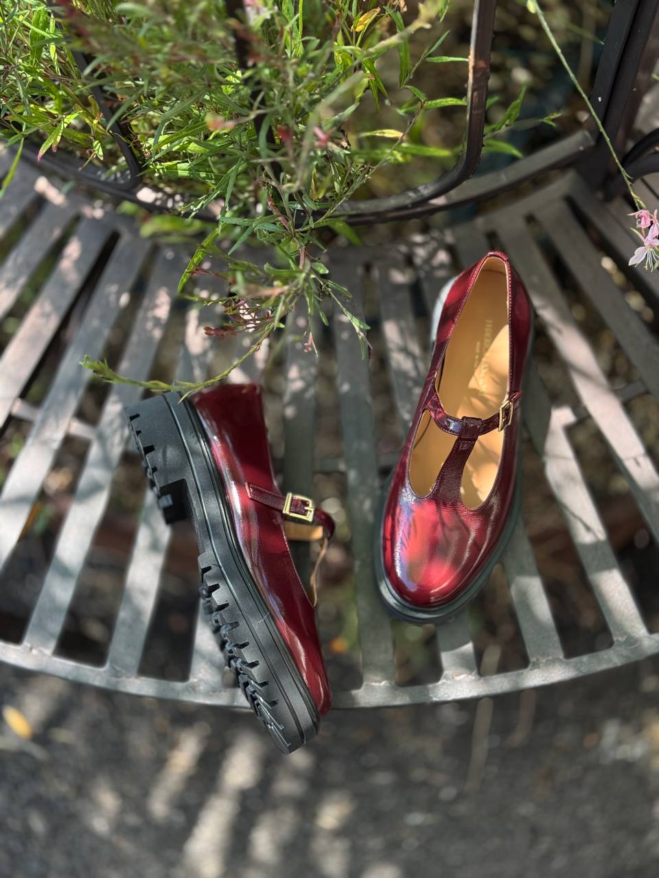 Фото Federica Lancioni